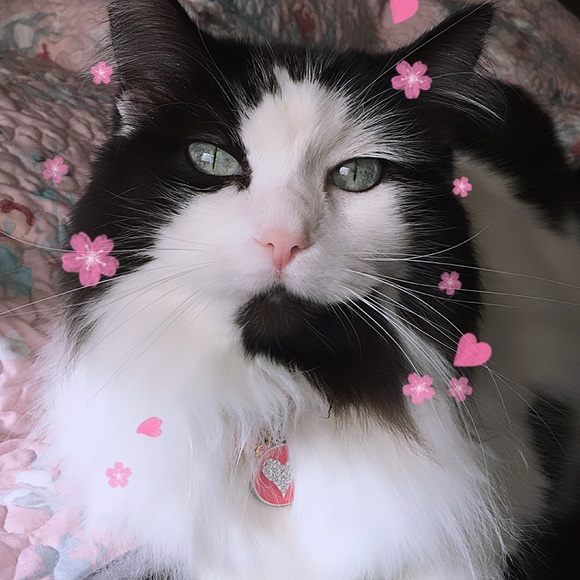 Meet your Posher, Kim - Picture 5 of 16